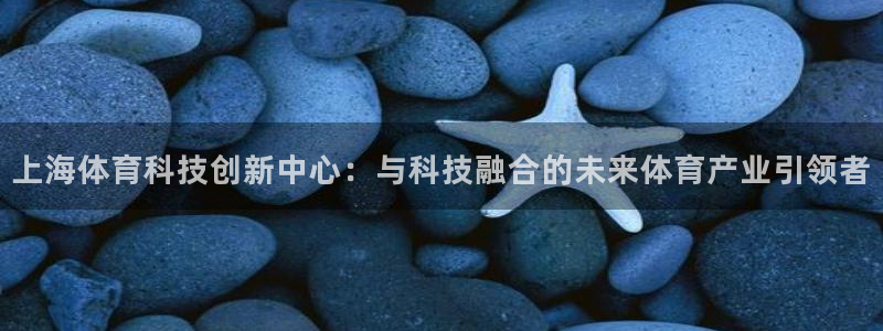 上海体育科技创新中心：与科技融合的未来体育产业引领者