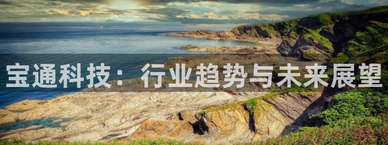宝通科技：行业趋势与未来展望