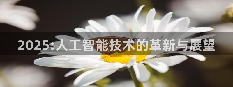 2025:人工智能技术的革新与展望