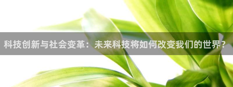 科技创新与社会变革：未来科技将如何改变我们的世界？