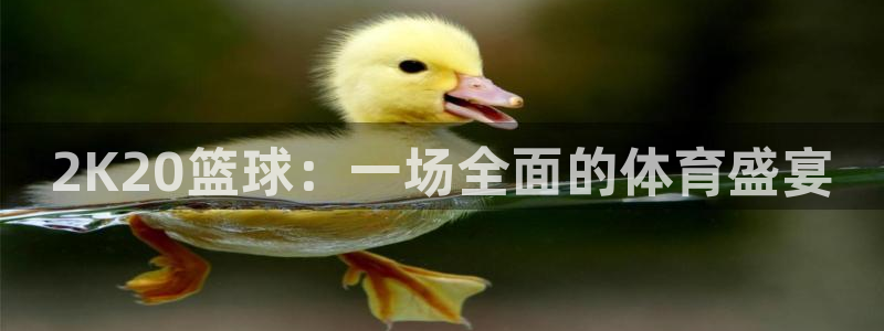 2K20篮球：一场全面的体育盛宴