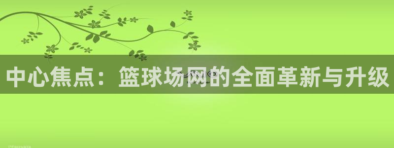 中心焦点：篮球场网的全面革新与升级