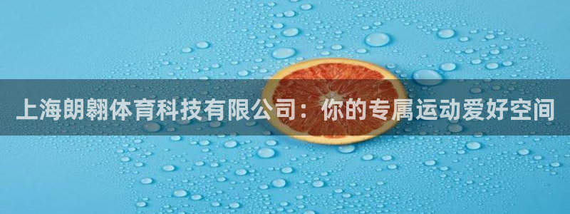 上海朗翱体育科技有限公司：你的专属运动爱好空间