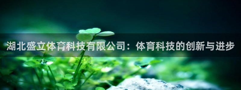 湖北盛立体育科技有限公司：体育科技的创新与进步