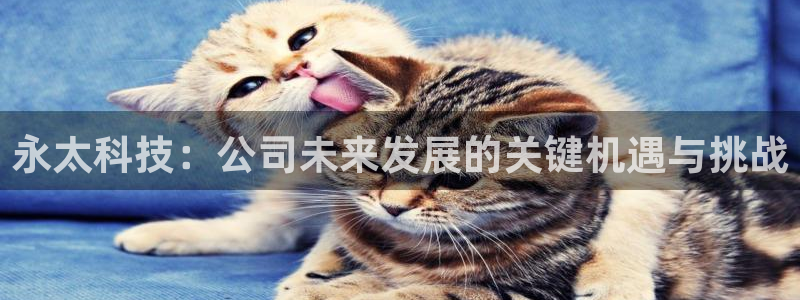 永太科技：公司未来发展的关键机遇与挑战
