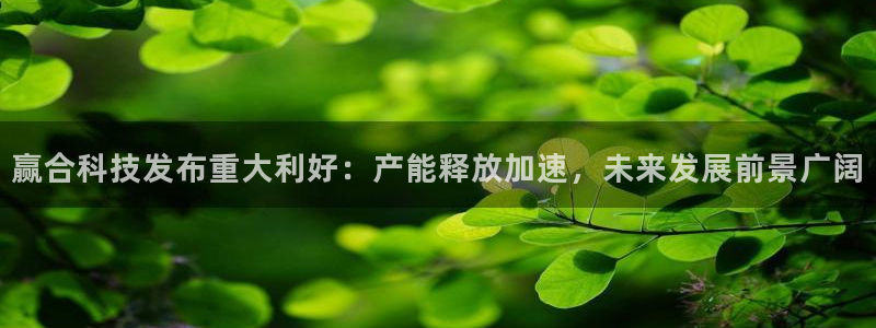 赢合科技发布重大利好：产能释放加速，未来发展前景广阔