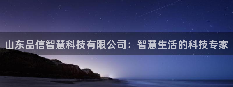 山东品信智慧科技有限公司：智慧生活的科技专家