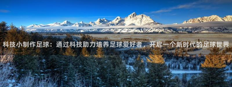 科技小制作足球：通过科技助力培养足球爱好者，开启一个新时代的足球世界