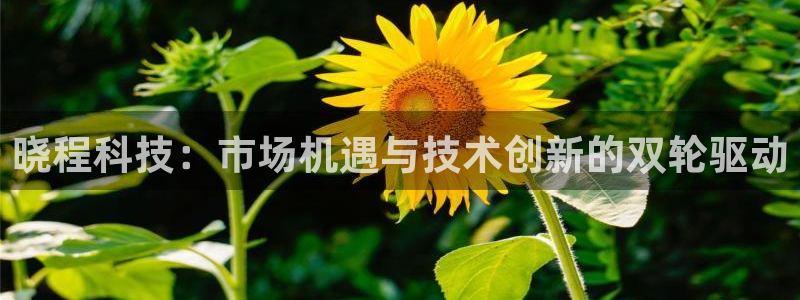 晓程科技：市场机遇与技术创新的双轮驱动