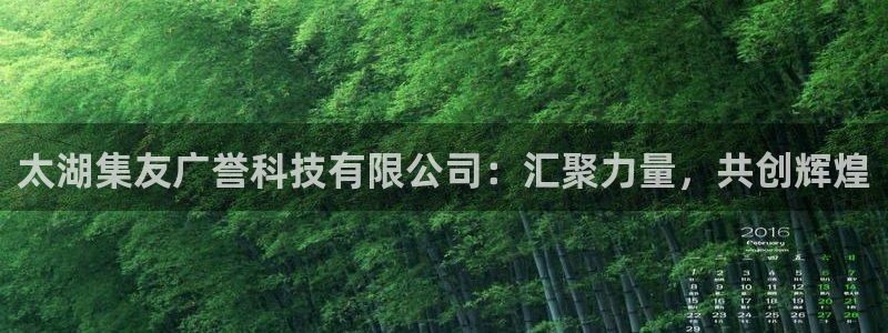 太湖集友广誉科技有限公司：汇聚力量，共创辉煌