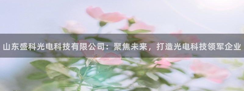 山东盛科光电科技有限公司：聚焦未来，打造光电科技领军企业