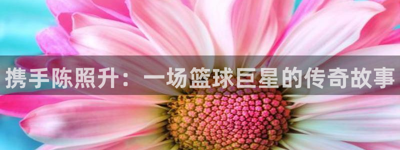 携手陈照升：一场篮球巨星的传奇故事