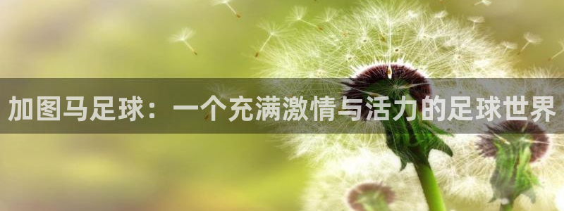 加图马足球：一个充满激情与活力的足球世界