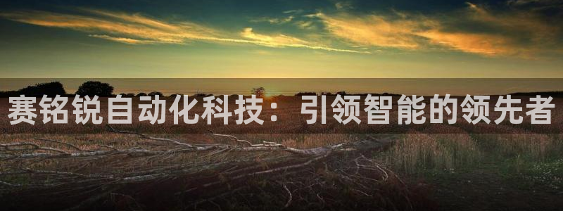 赛铭锐自动化科技：引领智能的领先者