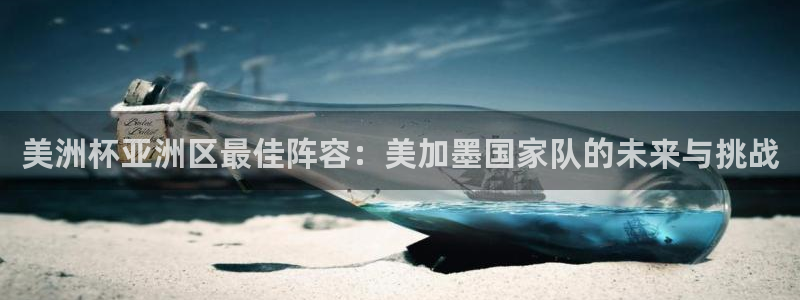 美洲杯亚洲区最佳阵容：美加墨国家队的未来与挑战