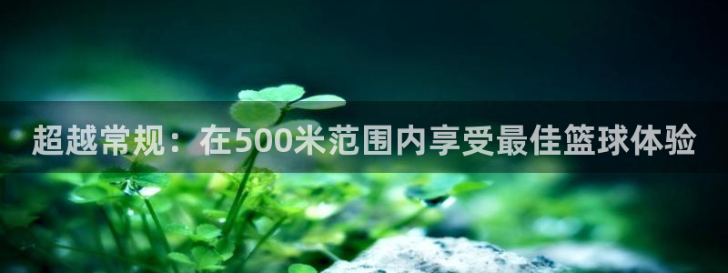 超越常规：在500米范围内享受最佳篮球体验