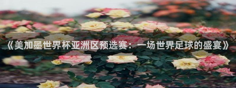 《美加墨世界杯亚洲区预选赛：一场世界足球的盛宴》