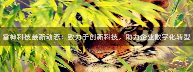 雷神科技最新动态：致力于创新科技，助力企业数字化转型