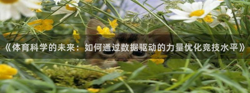《体育科学的未来：如何通过数据驱动的力量优化竞技水平》