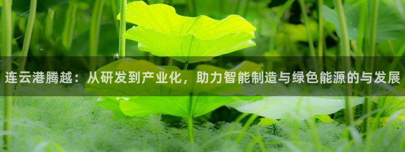 连云港腾越：从研发到产业化，助力智能制造与绿色能源的与发展