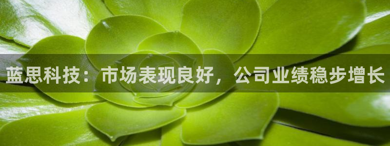 蓝思科技：市场表现良好，公司业绩稳步增长