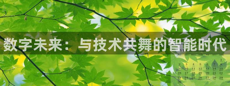 数字未来：与技术共舞的智能时代