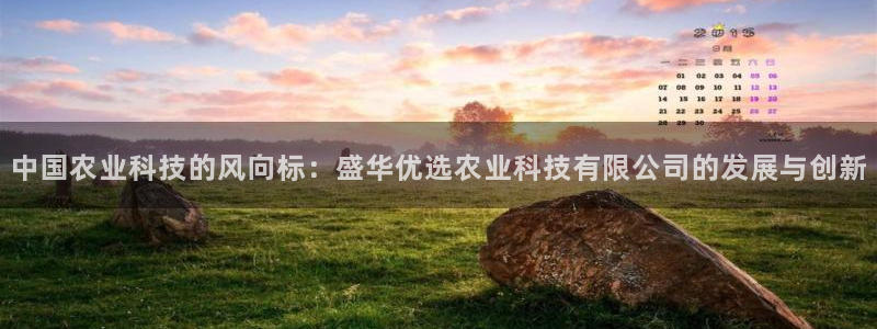 中国农业科技的风向标：盛华优选农业科技有限公司的发展与创新