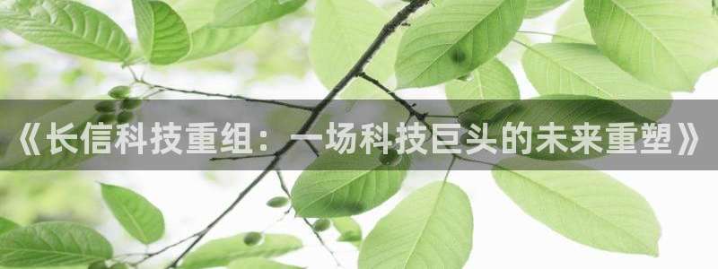 《长信科技重组：一场科技巨头的未来重塑》