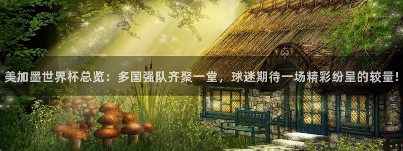美加墨世界杯总览：多国强队齐聚一堂，球迷期待一场精彩纷呈的较量!