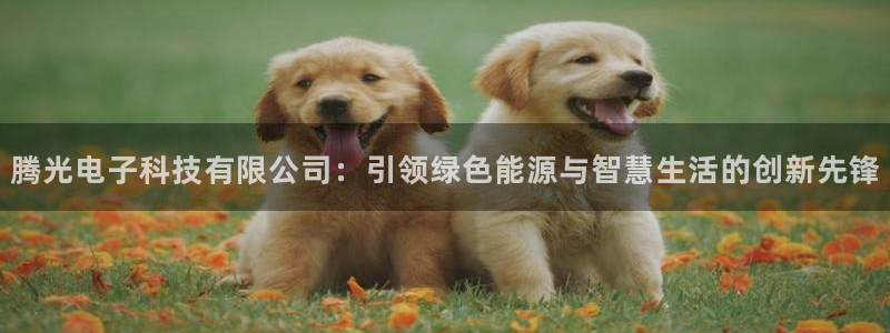 腾光电子科技有限公司：引领绿色能源与智慧生活的创新先锋
