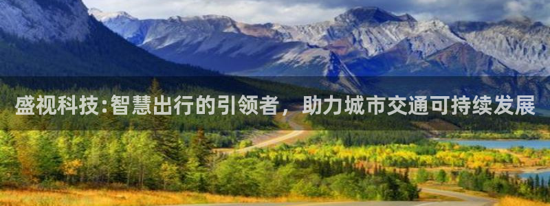 盛视科技:智慧出行的引领者，助力城市交通可持续发展