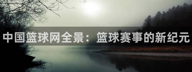中国篮球网全景：篮球赛事的新纪元