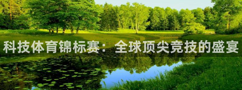 科技体育锦标赛：全球顶尖竞技的盛宴