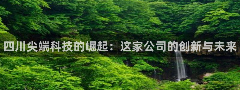 四川尖端科技的崛起：这家公司的创新与未来