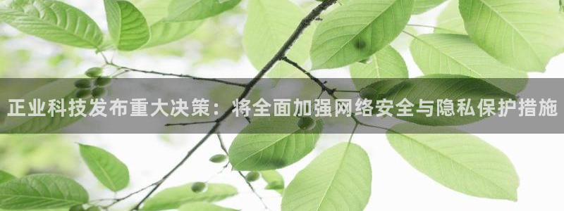 正业科技发布重大决策：将全面加强网络安全与隐私保护措施