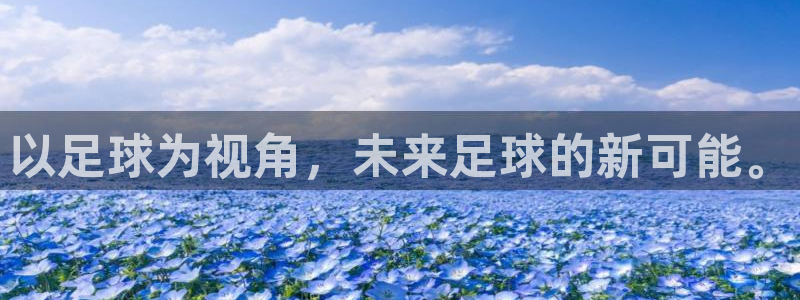 以足球为视角，未来足球的新可能。
