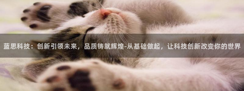 蓝思科技：创新引领未来，品质铸就辉煌-从基础做起，让科技创新改变你的世界