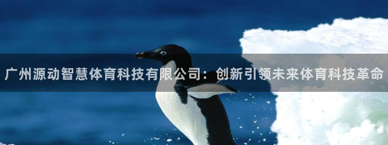 广州源动智慧体育科技有限公司：创新引领未来体育科技革命