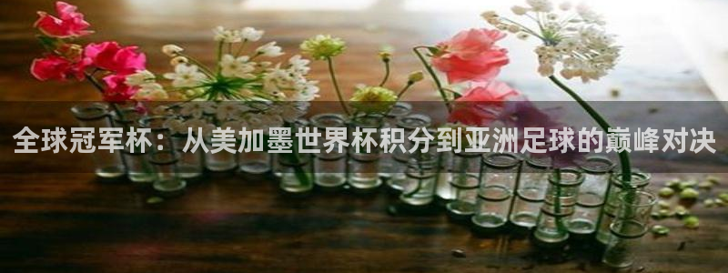 全球冠军杯：从美加墨世界杯积分到亚洲足球的巅峰对决