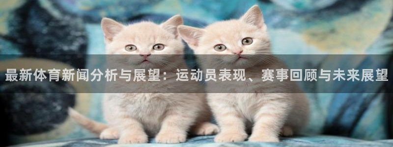 最新体育新闻分析与展望：运动员表现、赛事回顾与未来展望