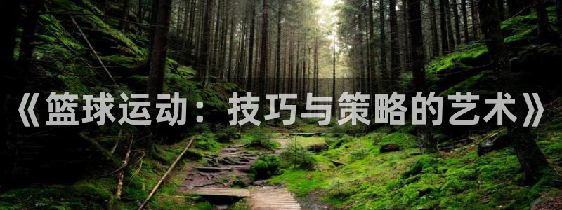 《篮球运动：技巧与策略的艺术》