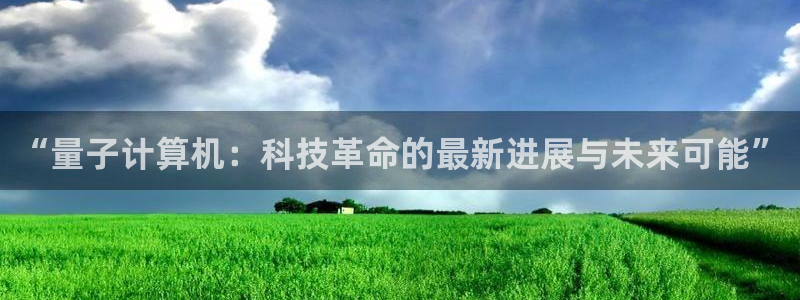 “量子计算机：科技革命的最新进展与未来可能”